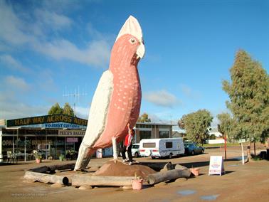 Big Galah, Kimba, South Australia